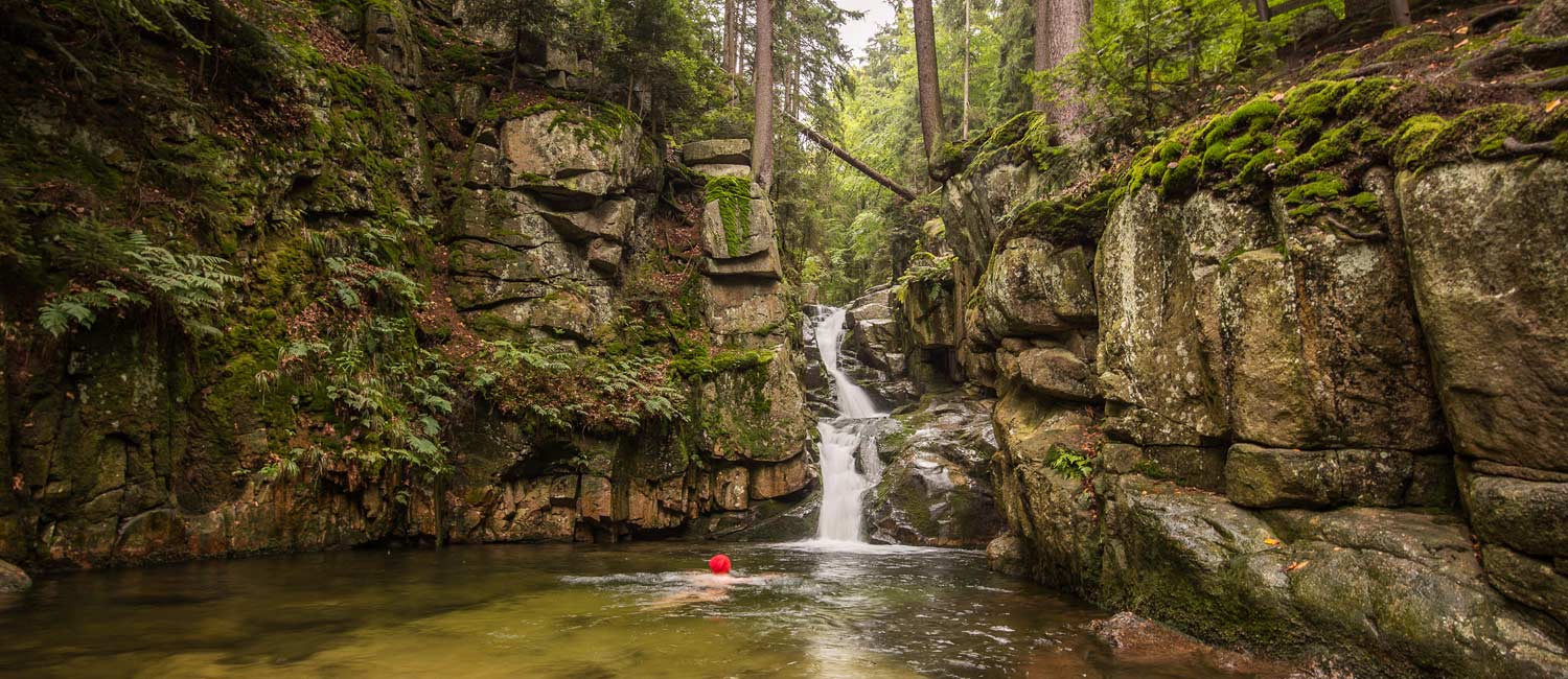 wodospad w środku lasu